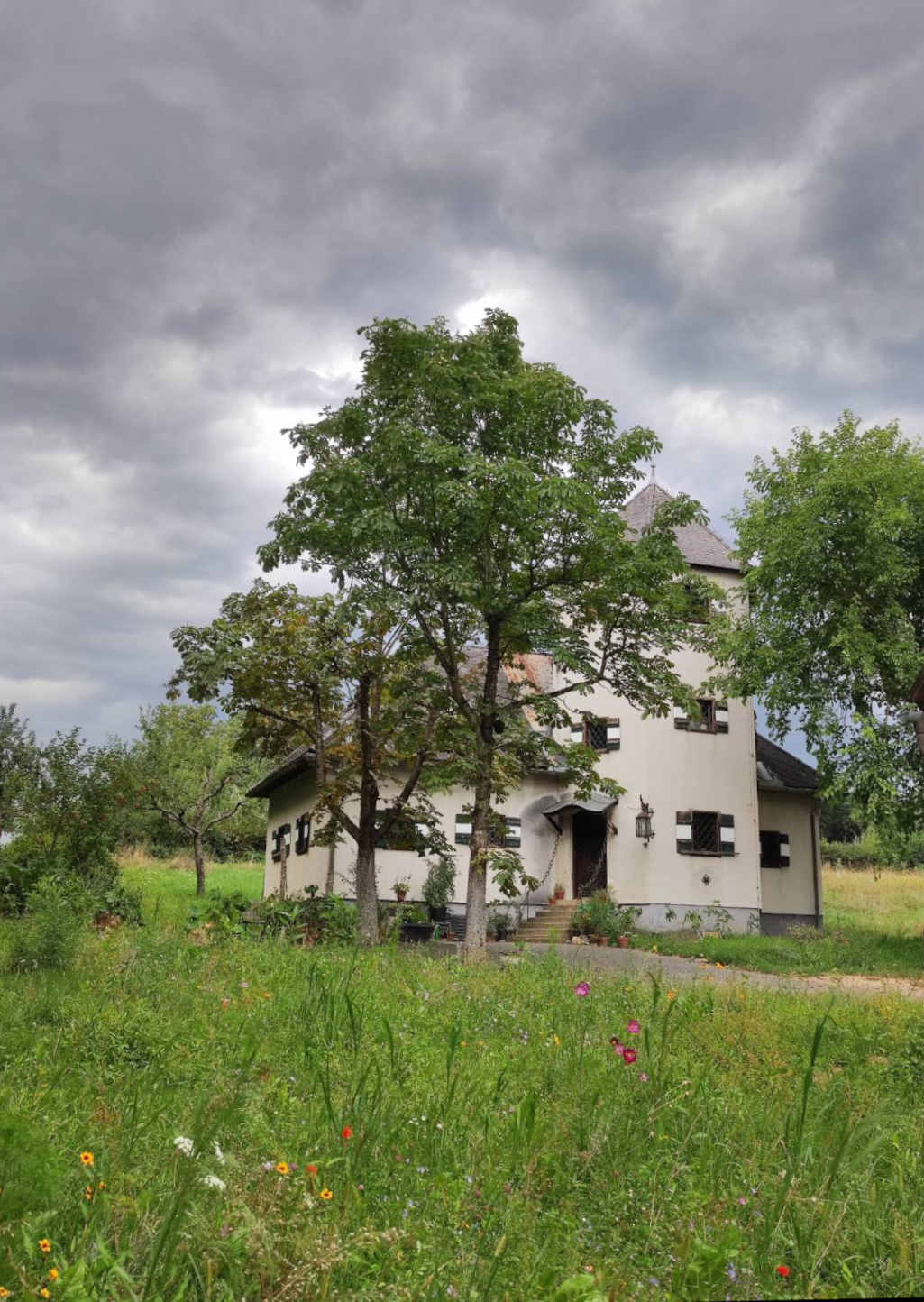 Burg Oberspitz zwischen Wiese, Bäumen und dramatischem Himmel